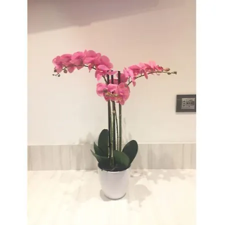 Cinqueterre Behind 4* La Spezia